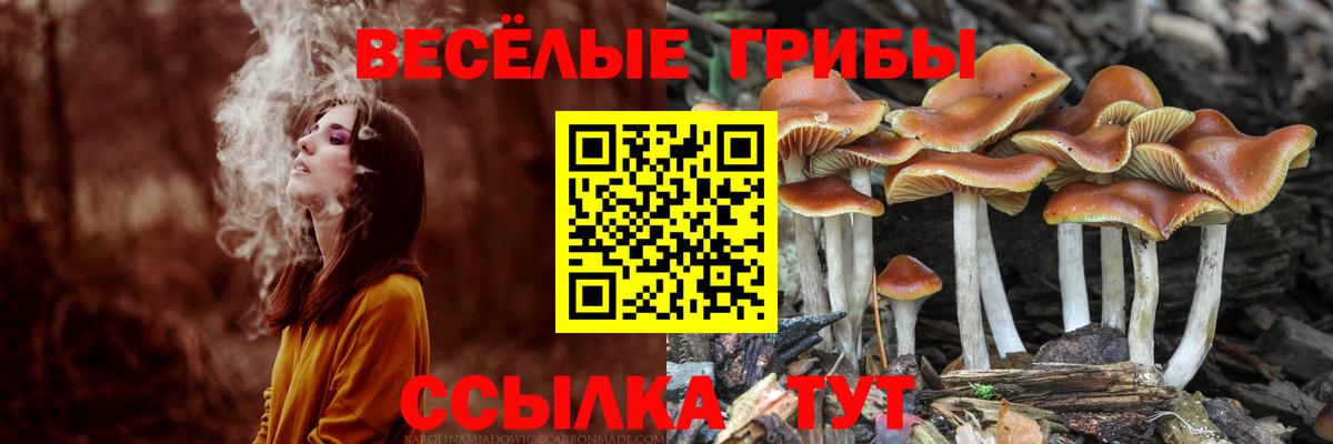 Галлюциногенные грибы Cubensis Альметьевск