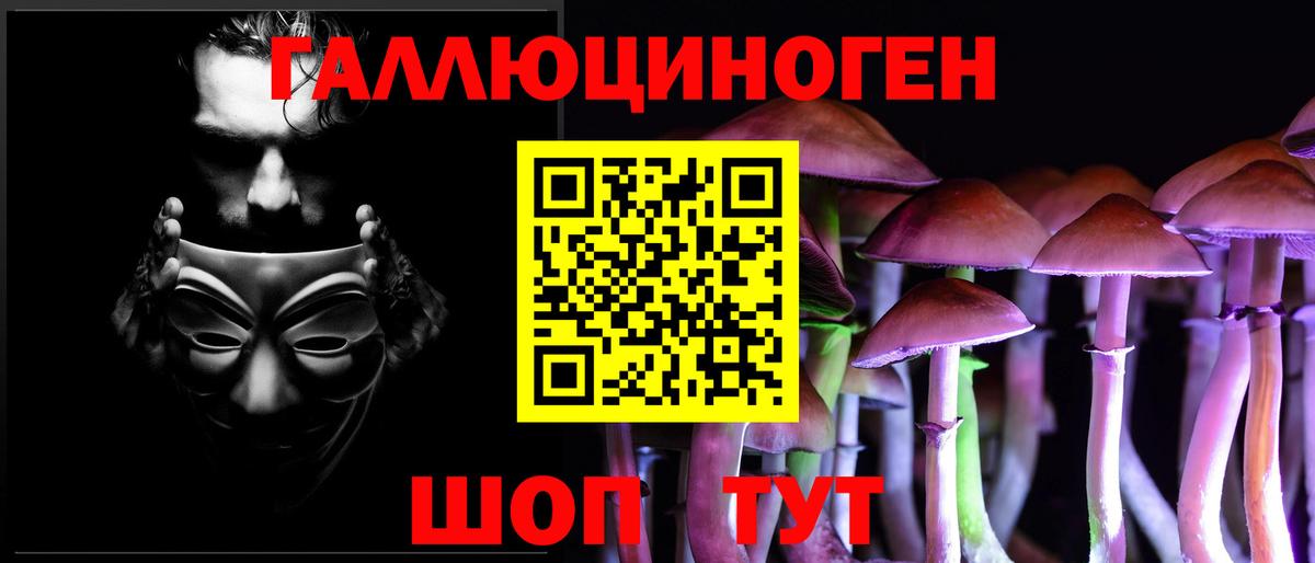 Альметьевск  Галлюциногенные грибы Psilocybine cubensis  Вход с VPN 